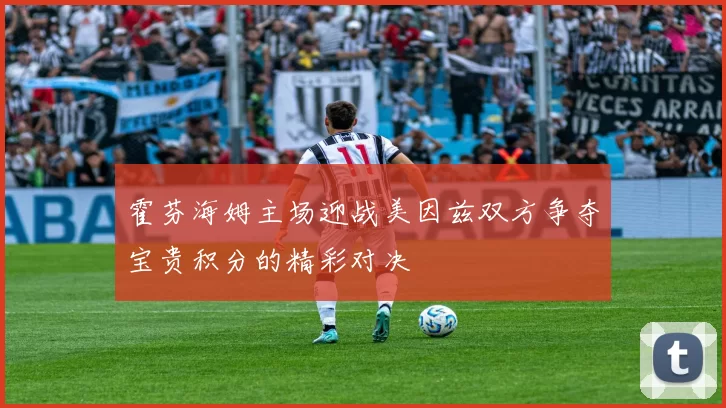 霍芬海姆主场迎战美因兹双方争夺宝贵积分的精彩对决