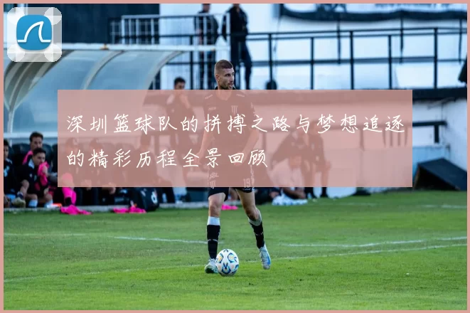 深圳篮球队的拼搏之路与梦想追逐的精彩历程全景回顾