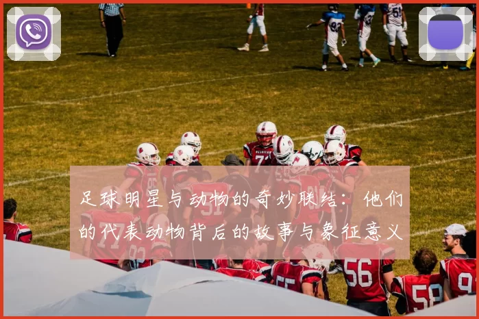 足球明星与动物的奇妙联结：他们的代表动物背后的故事与象征意义