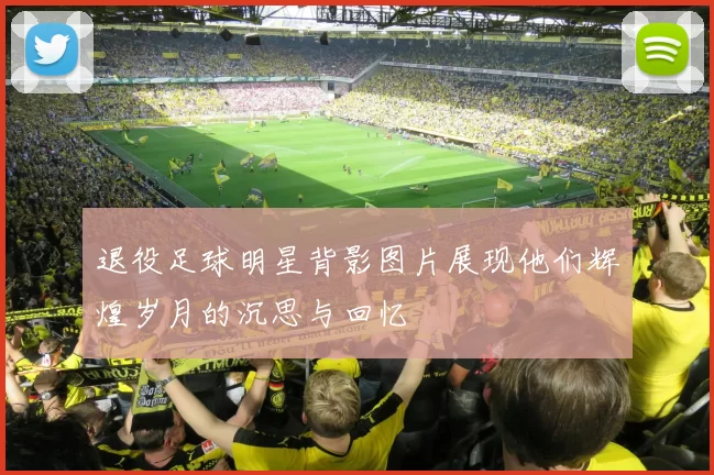 退役足球明星背影图片展现他们辉煌岁月的沉思与回忆