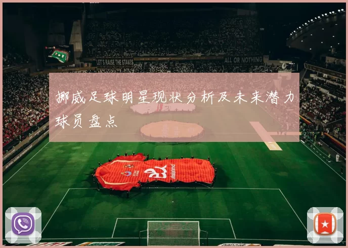 挪威足球明星现状分析及未来潜力球员盘点