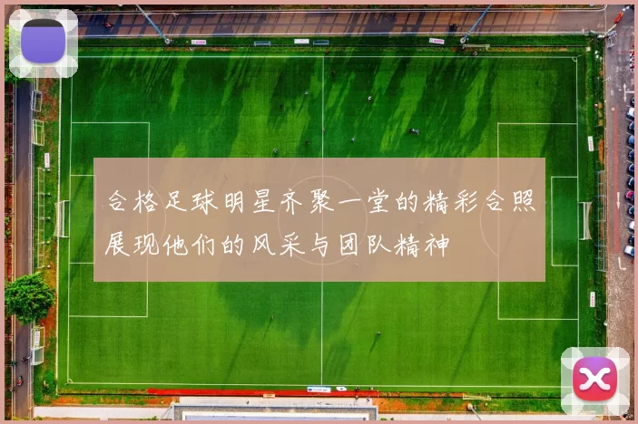 合格足球明星齐聚一堂的精彩合照展现他们的风采与团队精神