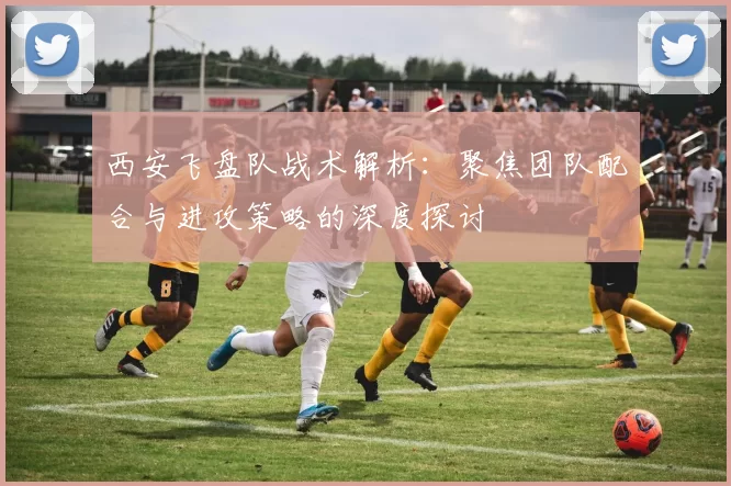西安飞盘队战术解析：聚焦团队配合与进攻策略的深度探讨