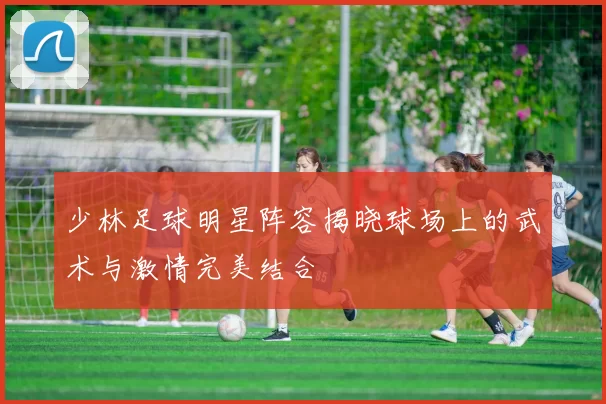 少林足球明星阵容揭晓球场上的武术与激情完美结合