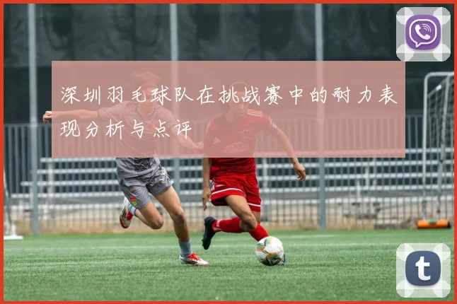 深圳羽毛球队在挑战赛中的耐力表现分析与点评
