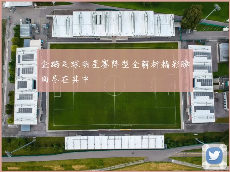 企鹅足球明星赛阵型全解析精彩瞬间尽在其中