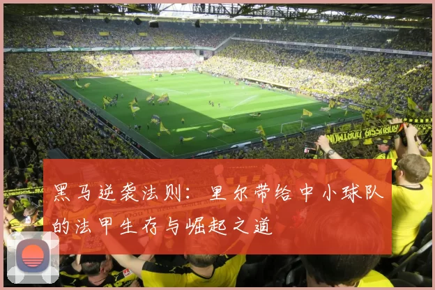 黑马逆袭法则：里尔带给中小球队的法甲生存与崛起之道