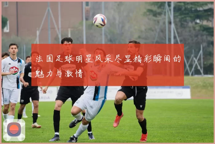 法国足球明星风采尽显精彩瞬间的魅力与激情