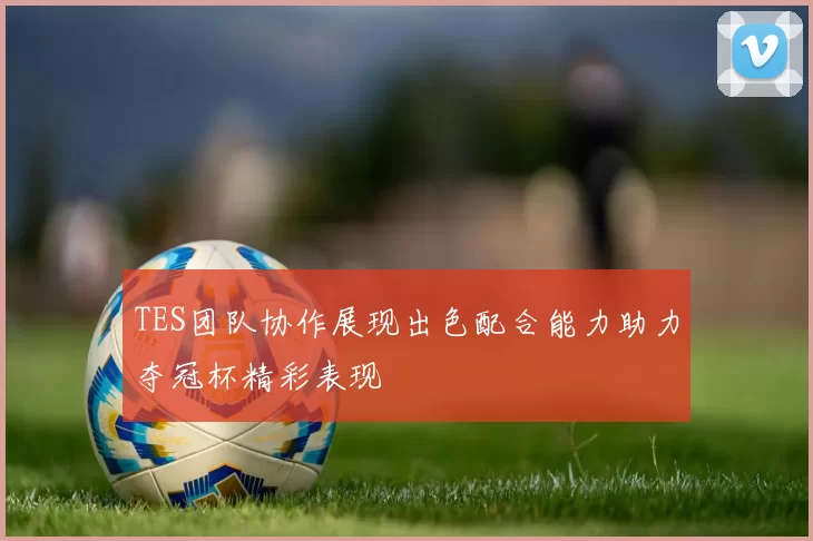 TES团队协作展现出色配合能力助力夺冠杯精彩表现