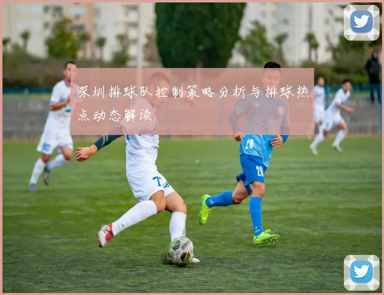深圳排球队控制策略分析与排球热点动态解读