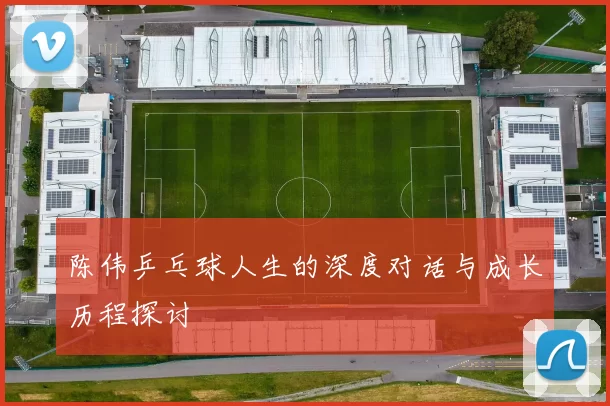 陈伟乒乓球人生的深度对话与成长历程探讨