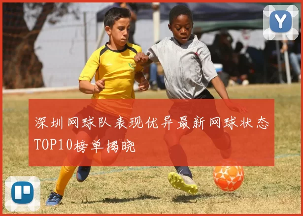 深圳网球队表现优异最新网球状态TOP10榜单揭晓