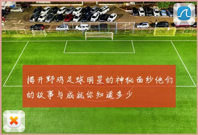 揭开野鸡足球明星的神秘面纱他们的故事与成就你知道多少
