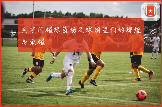 利字闪耀绿茵场足球明星们的辉煌与荣耀