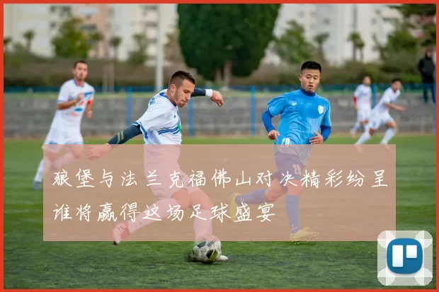 狼堡与法兰克福佛山对决精彩纷呈谁将赢得这场足球盛宴