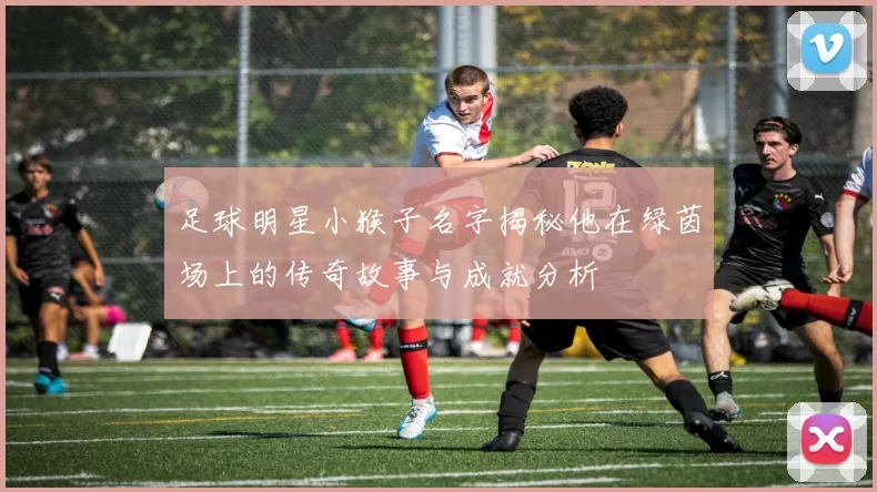 足球明星小猴子名字揭秘他在绿茵场上的传奇故事与成就分析