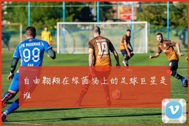 自由翱翔在绿茵场上的足球巨星是谁