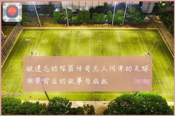 被遗忘的绿茵传奇无人问津的足球明星背后的故事与成就
