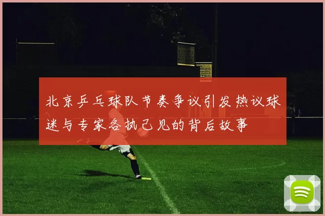 北京乒乓球队节奏争议引发热议球迷与专家各执己见的背后故事