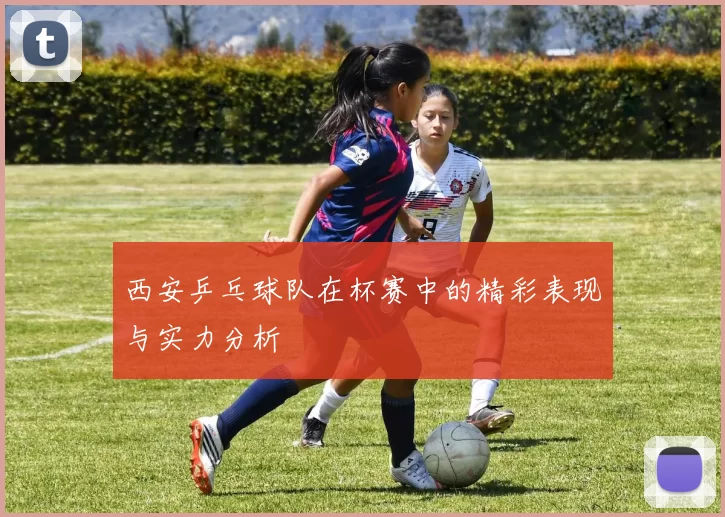 西安乒乓球队在杯赛中的精彩表现与实力分析
