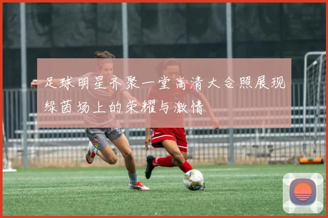 足球明星齐聚一堂高清大合照展现绿茵场上的荣耀与激情