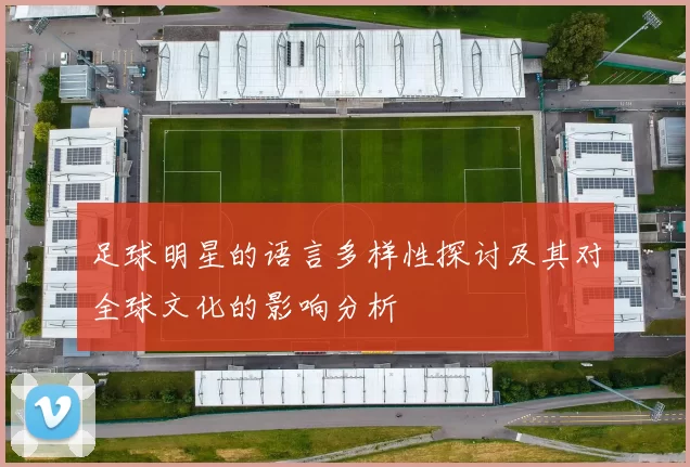 足球明星的语言多样性探讨及其对全球文化的影响分析