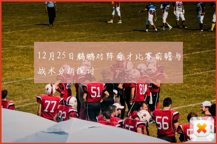 12月25日鹈鹕对阵奇才比赛前瞻与战术分析探讨