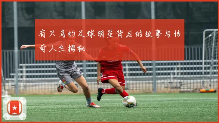 有只鸟的足球明星背后的故事与传奇人生揭秘