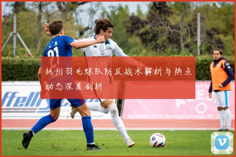 杭州羽毛球队防反战术解析与热点动态深度剖析