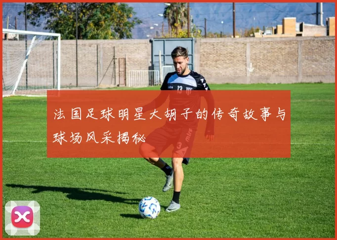 法国足球明星大胡子的传奇故事与球场风采揭秘