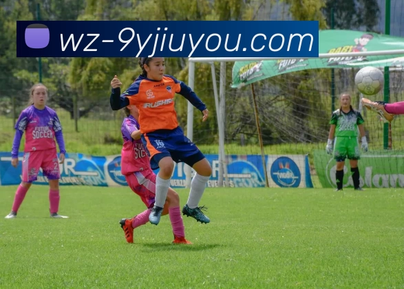 九游体育APP 封面图